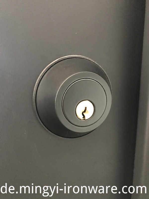 Hot Sales America Standard Security Schmiedeeisen Einstiegstüren